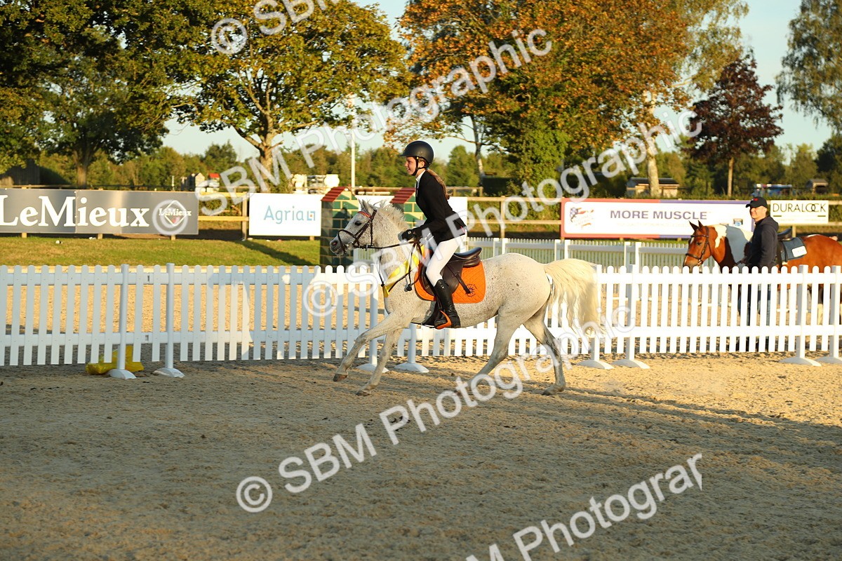 SBM_53951 - J8 - Junior Pony 65cm Championship