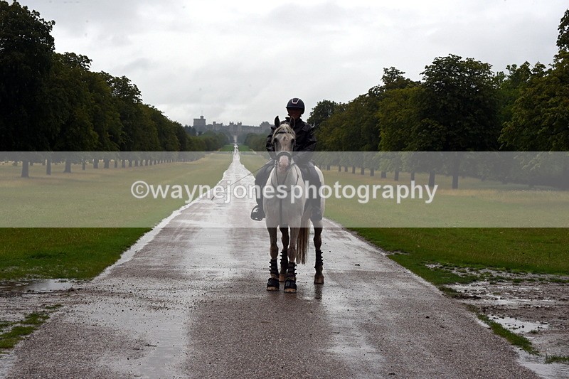 TT3_8871 - Time at Crossing 12:55 to 15:02