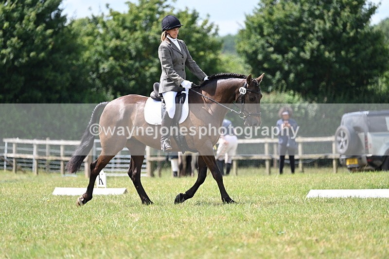 WJ7_4821 - Time 11:22 to 11:51