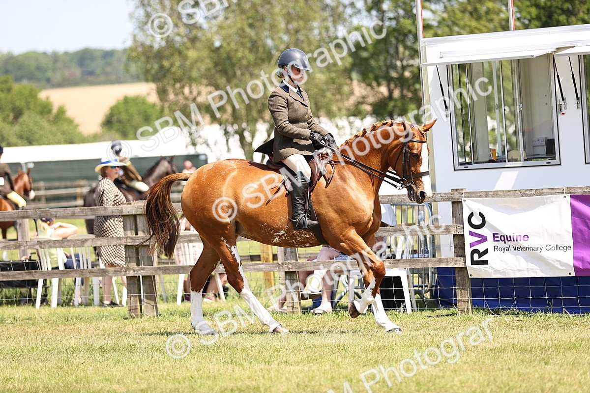 SBM_15060 - Class 79-80 - LIHS BSHA Rising Star Ridden Hunter
