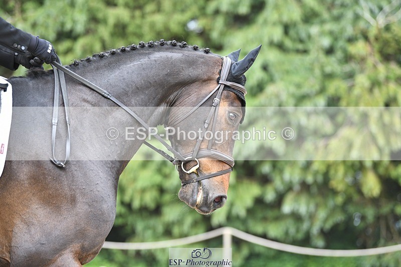 230525-152340-03240 - 326-GULLITH-Emily_Lochore-WEDTrotUp+DR