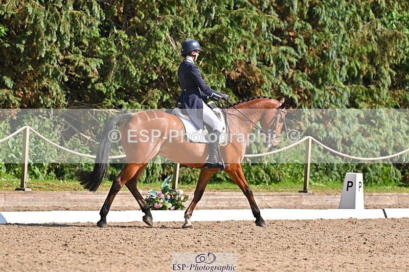 250523A-163233-08082 - B-378-Molly.Brown-KILRUSH.RED