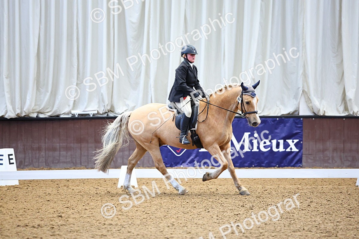 SBM_003722 - Class 12 - Prelim 6