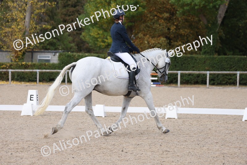 20250819-1484 - Class 4 - Novice 2