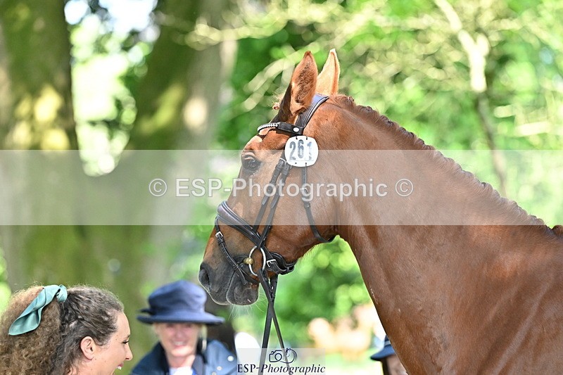 250521A-161535-01021 - C-261-Danielle.Dunn-ICI.DOR.DE.DONNA.CADANZA.Z