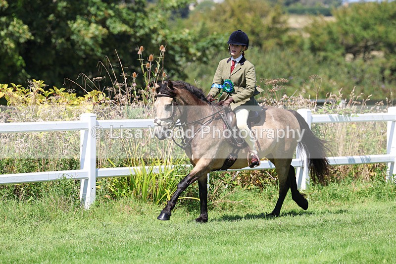 3E7A9215 - Working Hunter Championship