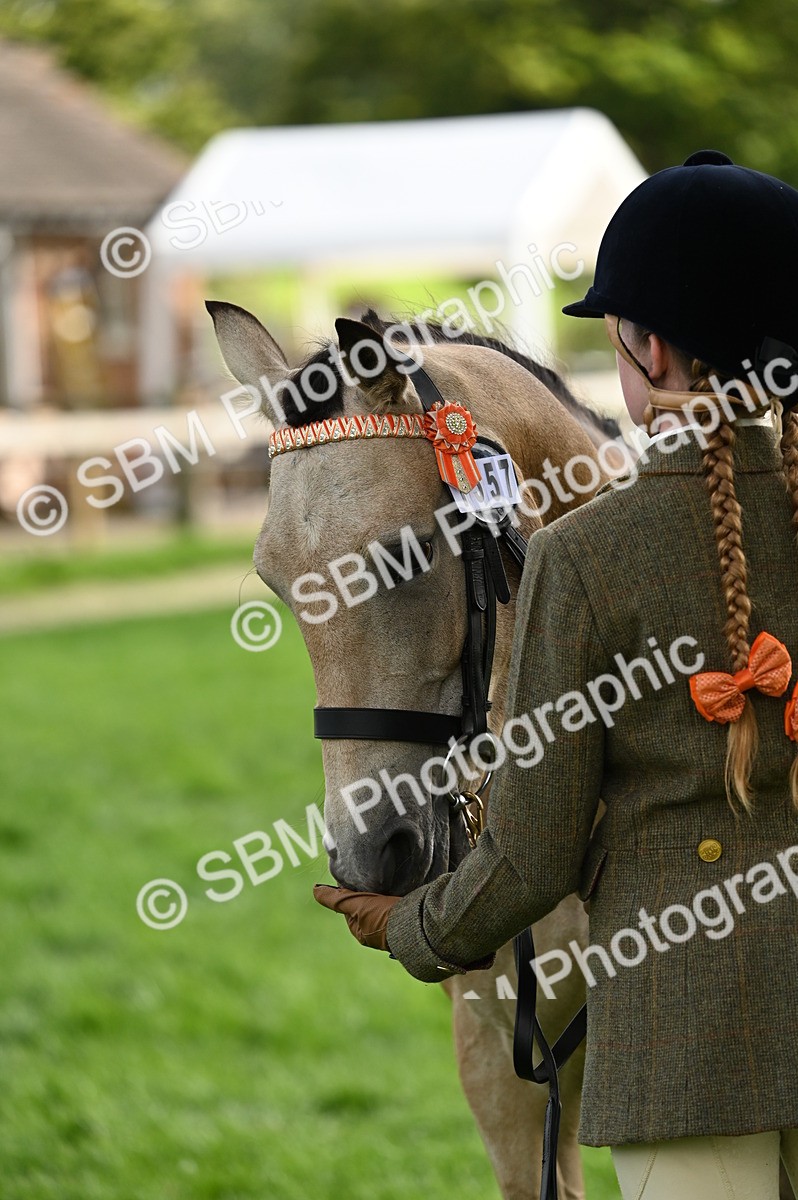 SBM_25042 - S5 - Novice & Newcomer In hand