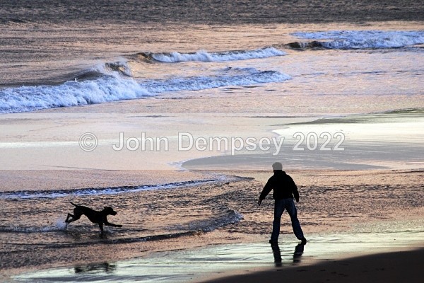 Billy  & Meeko 3 - Walking the Dog