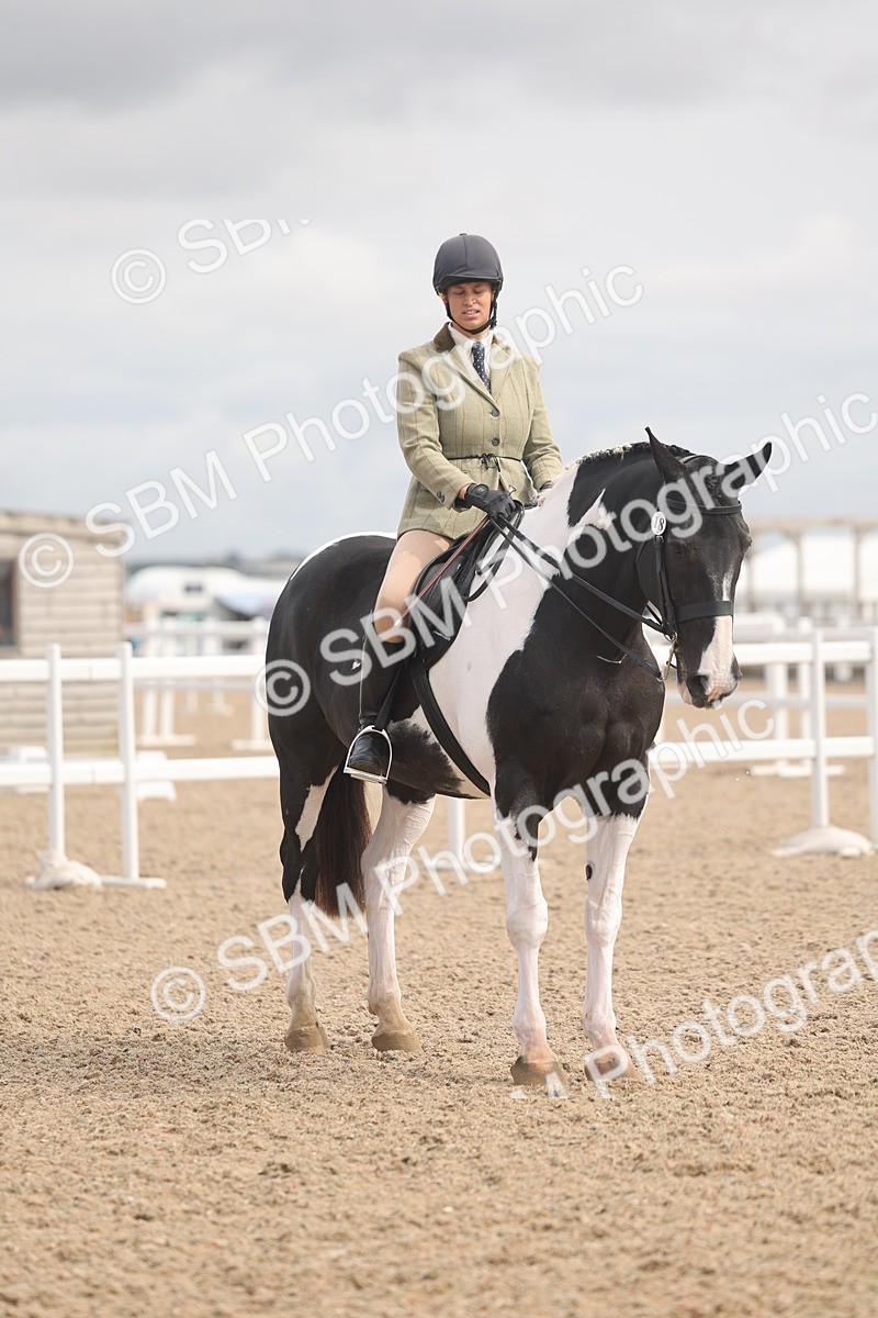 SBM_04529 - Class 19 - Horse/Pony Judge would most like to take home