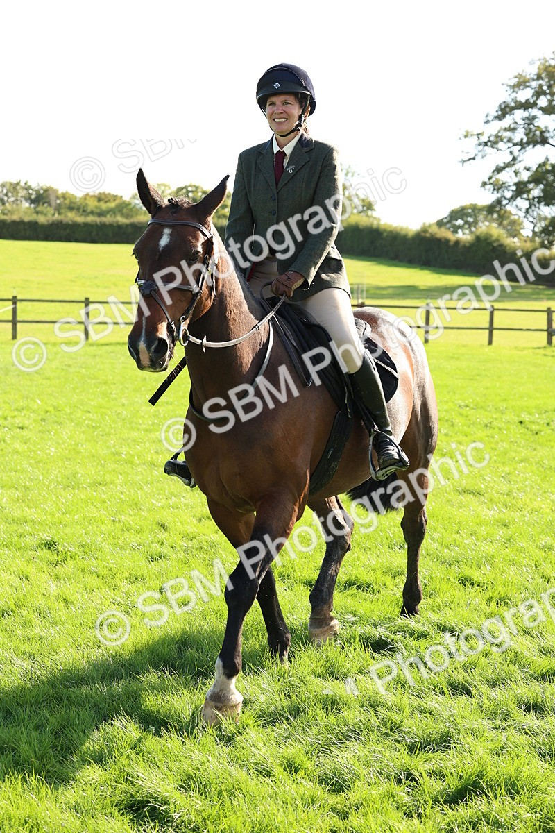 SBM_50138 - S34 - Novice & Newcomers Working Hunter