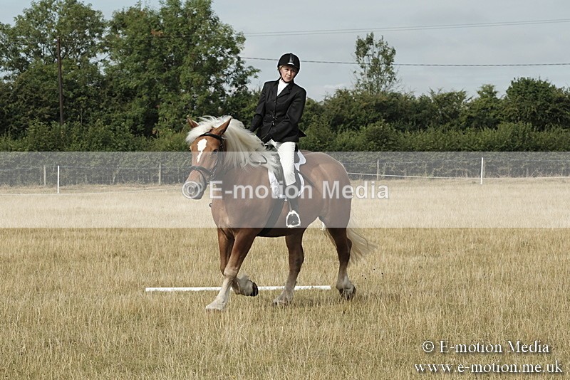 _PJP5600 - Dressage Classes BVRC Show 2018