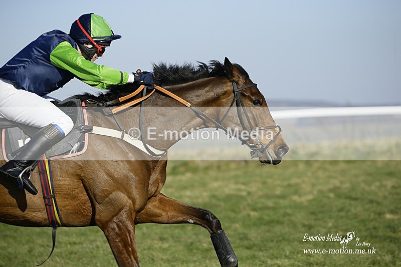 PtP 270222 241 - South & West Wilts Point-to-Point Larkhill 27/02/22