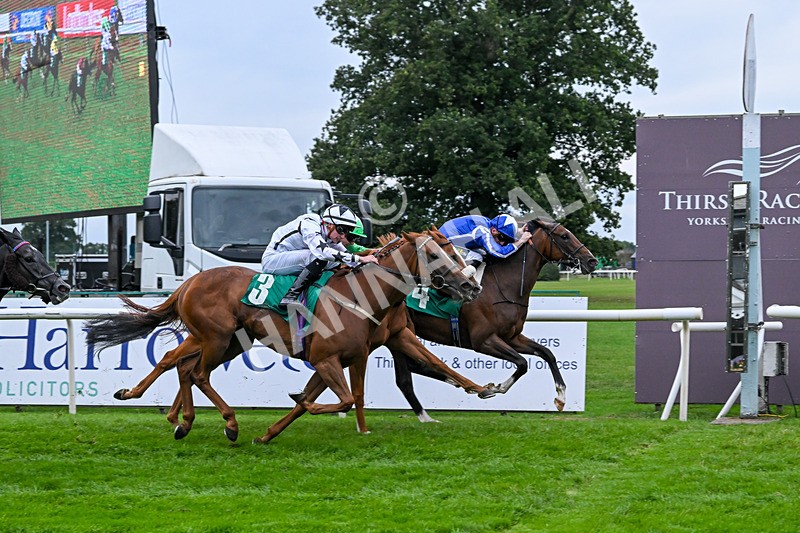 060925-Race 4-Dash Of Azure-5720 - Race 4