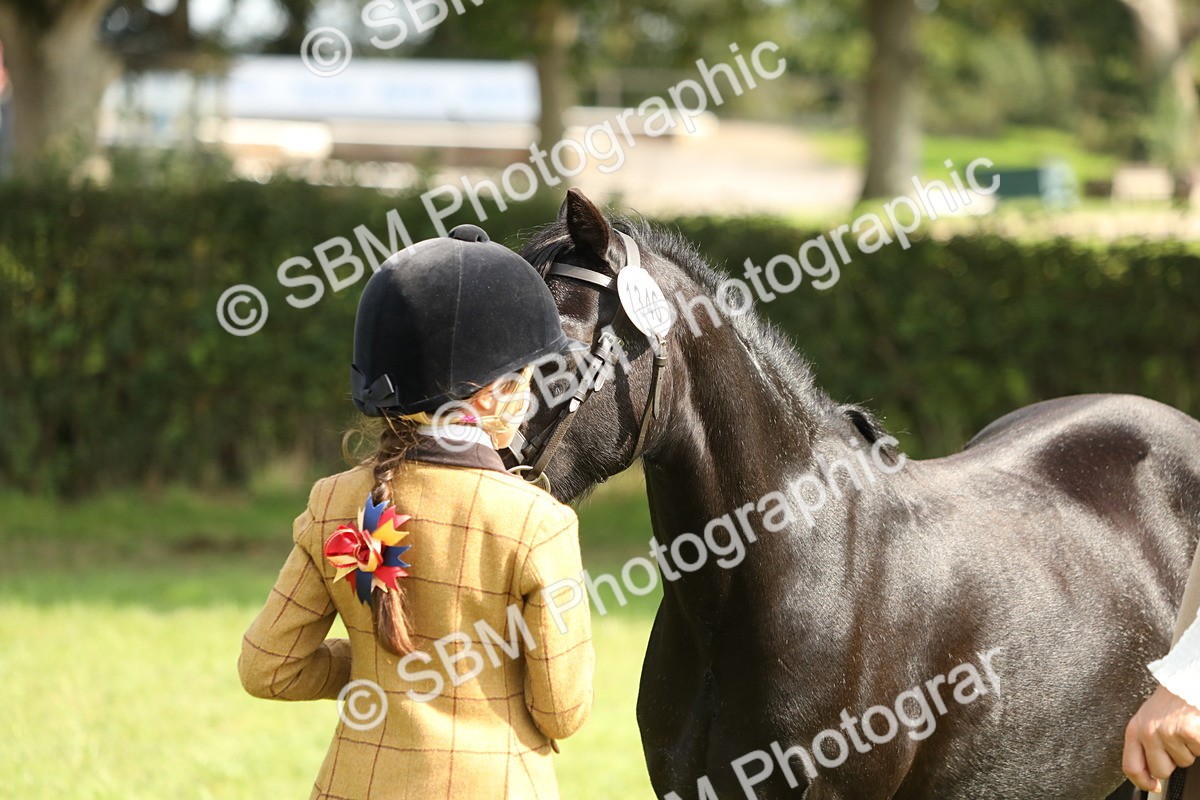 SBM_67798 - S39 - Junior Handler 8  Years & Under