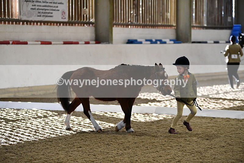 WJ5_3762 - Class 5 In Hand Veterans
