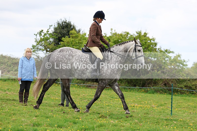 3E7A1305 - Class 7: Ridden Hunter Type