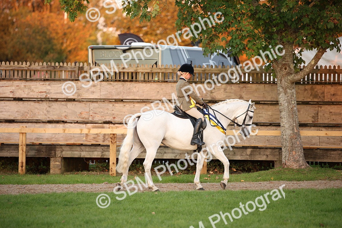 SBM_57088 - Super Supreme Championship