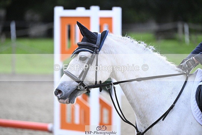 251005A-081213-02719 - Cls 01 GR 40cm