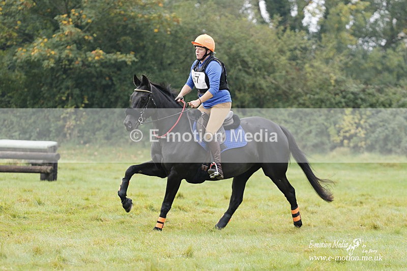  WWHT 171021 0895 - Open Novice (0.80m)  17/10/21