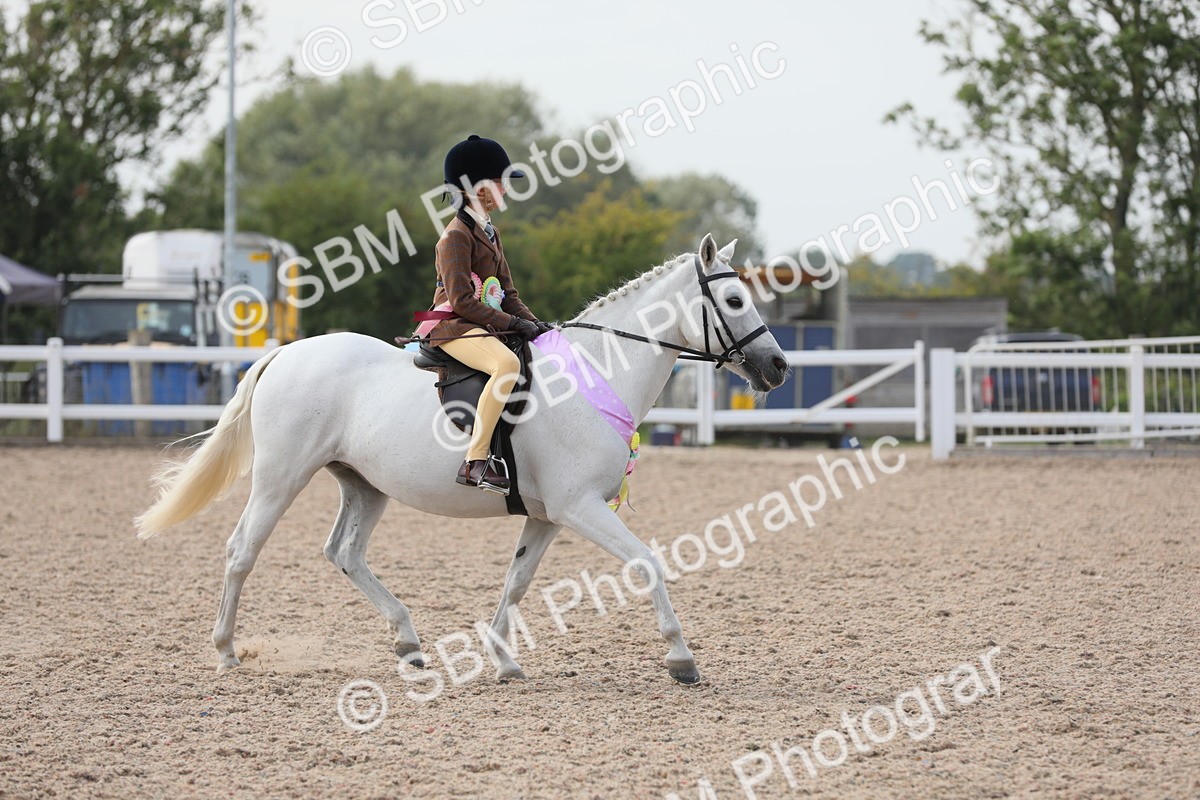 SBM_17072 - Class 314 Family Horse/Pony