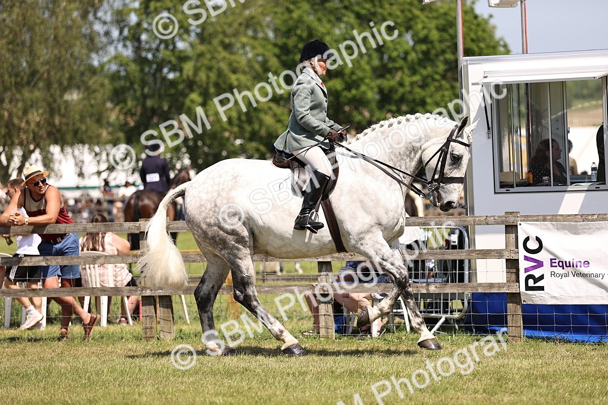 SBM_16105 - Class 79-80 - LIHS BSHA Rising Star Ridden Hunter