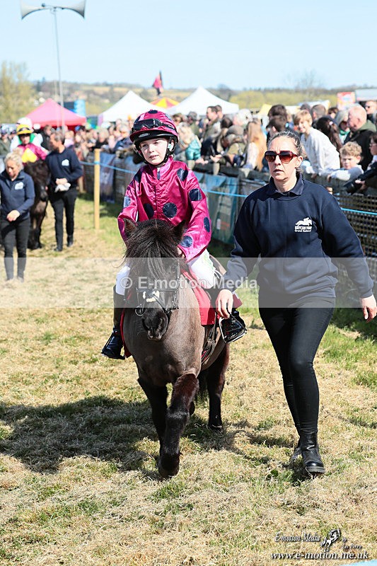 Shet 060426 72 - Shetland Pony Racing Paxford Races Easter Mon 06/04/26