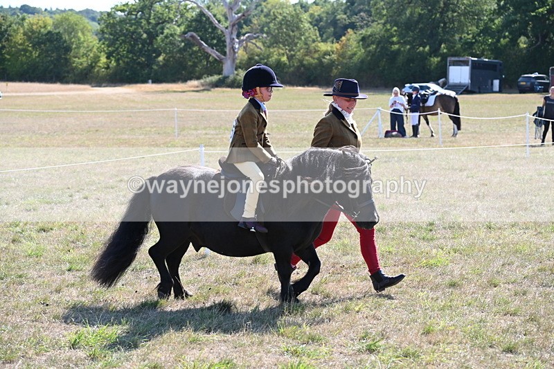 WJ6_7439 - Class 34 Judges Choice