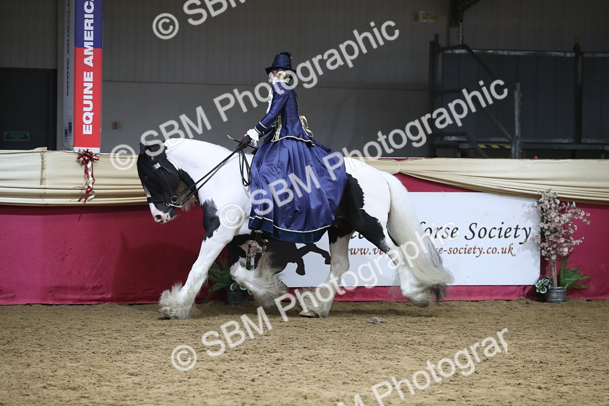 SBM_12023 - Class 106 Ridden Costume- Astride Adult (15-19)