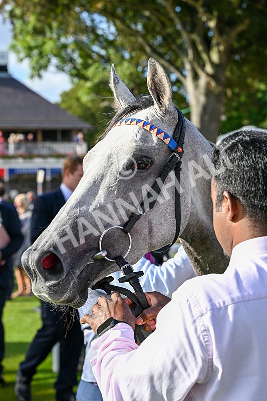 210826-Race 7-Silver Lake-7553 - Race 7 17.20pm Sky Bet EBF Fillies' Handicap