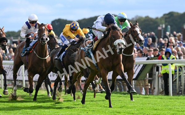 210825-207 Stellar Sunrise - Race 6 4.45pm Mews Hotel Ossett EBF Stallions Nursery Handicap