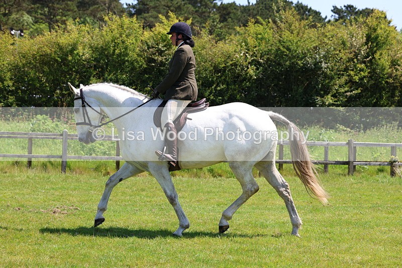 3E7A8066 - Working Hunter Championship