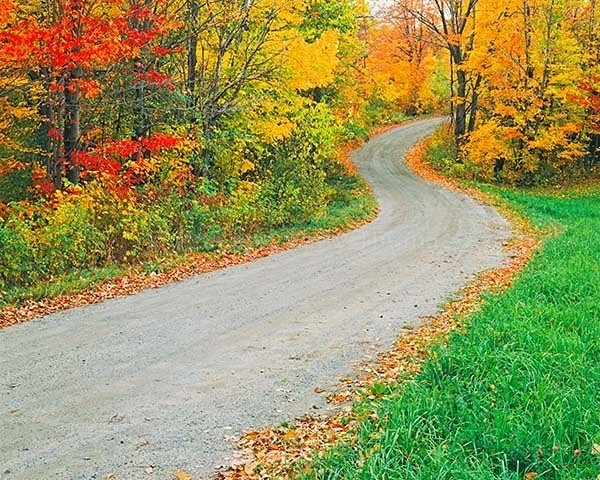 Istock #17552341 - New England Images