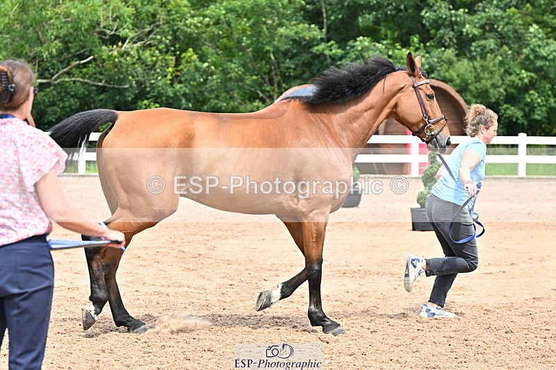 240718A-105309-01637 - Trot Up 1pm to 2pm