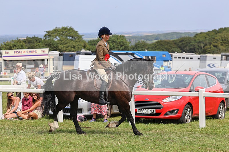 IMG_3717 - M & M Ridden Championship