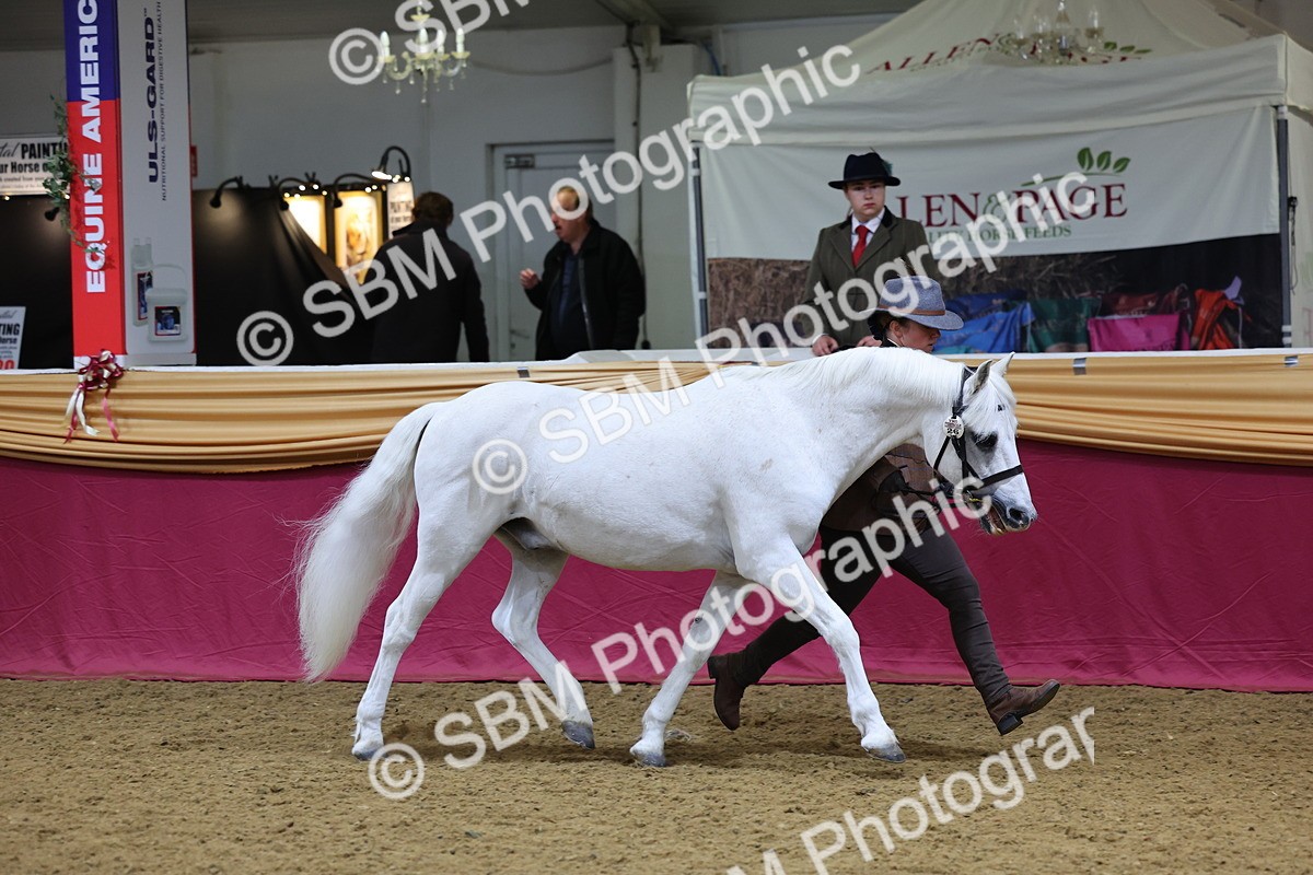 SBM_19424 - Class 901 - Supreme Final - IH Diamond