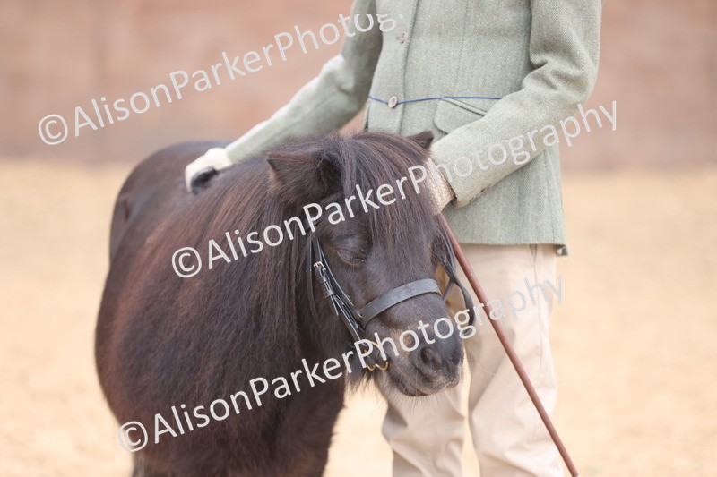 20251109-0310 - Class 13 - Mares 4 Years and Over