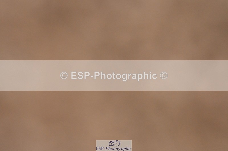 231217A-102948-00151 - Quest Classes