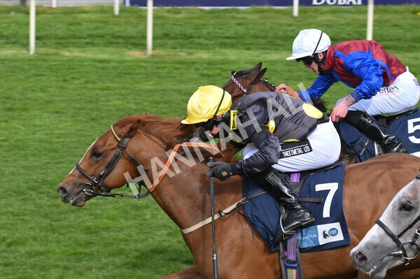 yr12052021r6-13 - Race 6 4.15pm British Stallion Studs EBF Novice Stakes