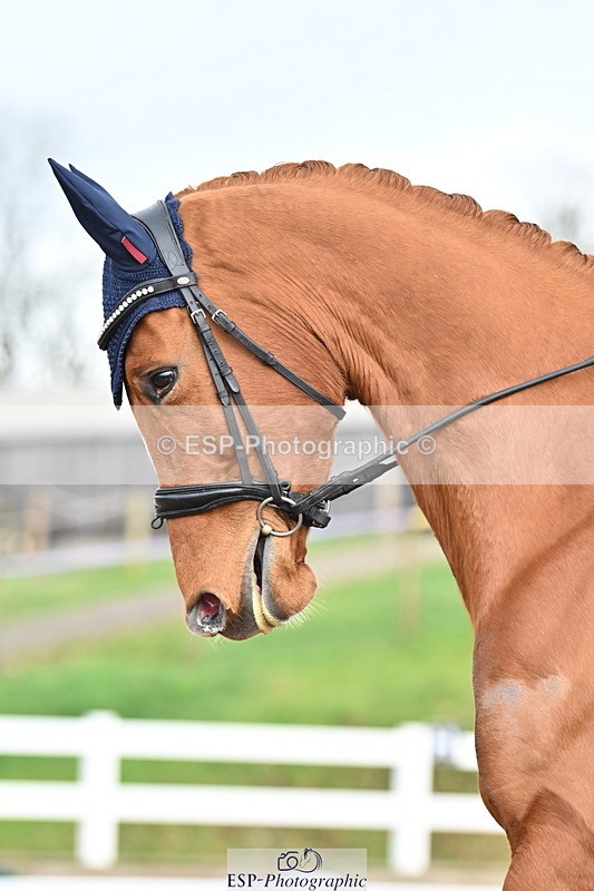 240218A-123552-07023 - 208-Charlotte.Dicker-Catherston.Zahara