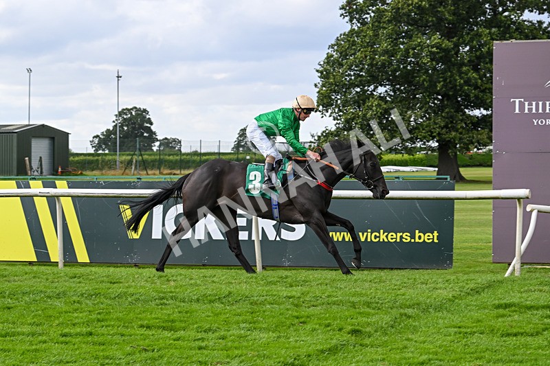 090824-Race 5-Quietness-4779 - Race 5