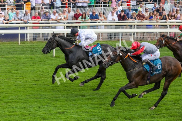100923-Race 2-Florida-3804 - Race 2 2.15pm John And Judith Marshall Memorial Handicap