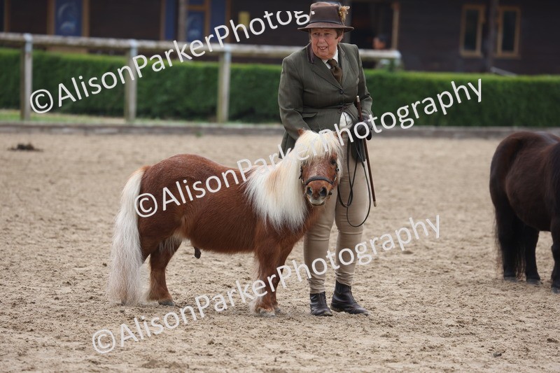 20260504-0531 - Class 4 - Minitures and Shetlands