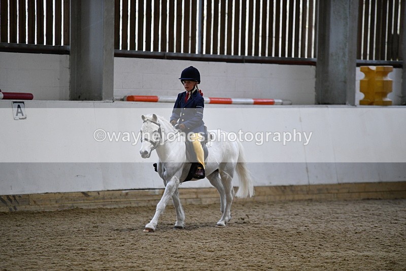 WJ5_7214 - Class 11 Ridden PC - RC Pony