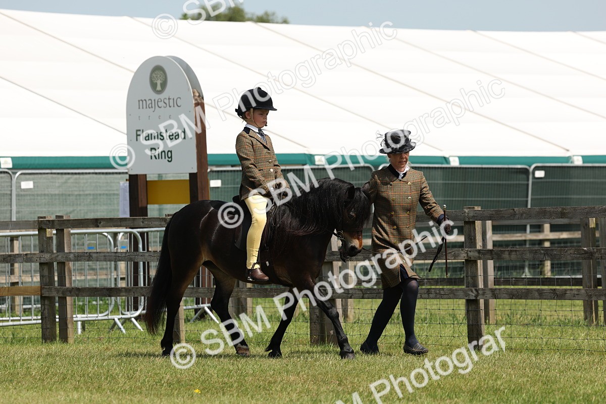 SBM_05199 - Class 24-25 - Mountain & Moorland In Hand Lead Rein and First Ridden