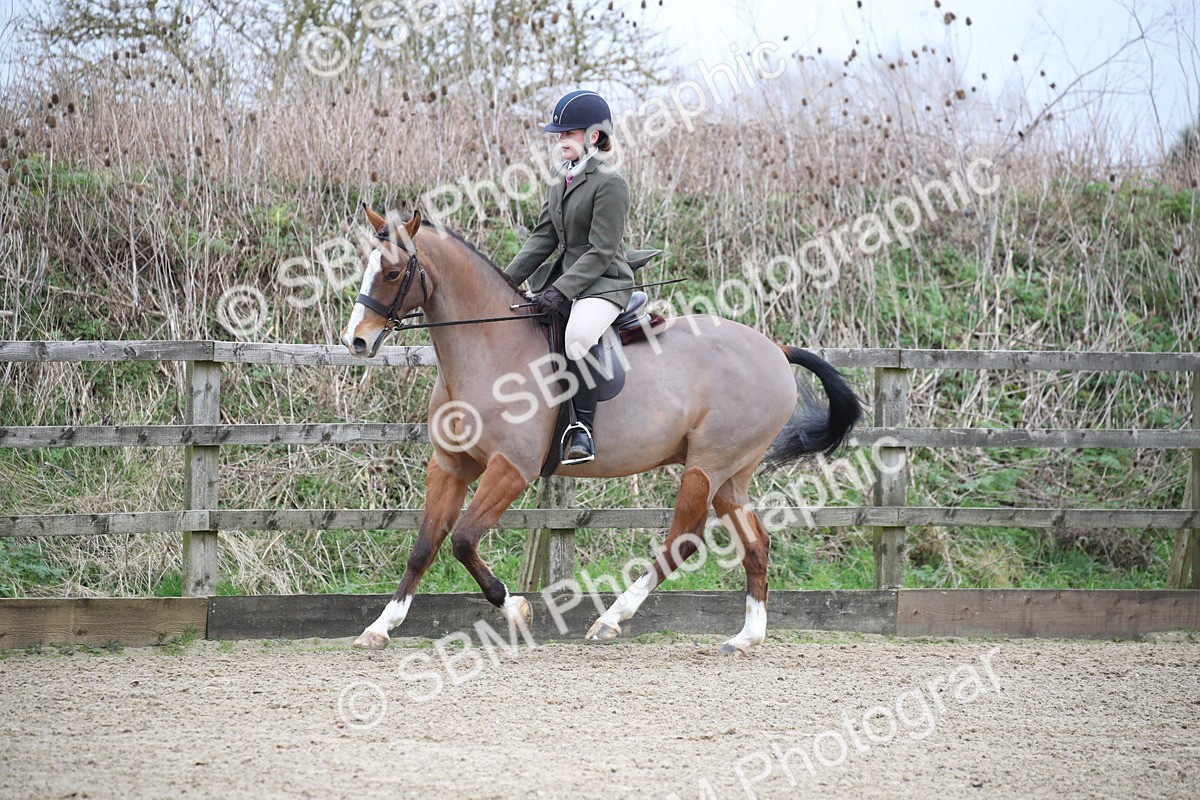 SBM_004749 - Class 5-9 - NPS In Hand-Show Hunter-Intermediate Ridden Inc Ridden Championship