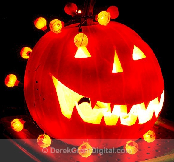 Jack-O-Lantern - Autumn Festival