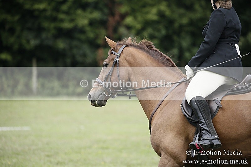 BVR090918 123 - BVRC Dressage and Show Jumping 09/09/18