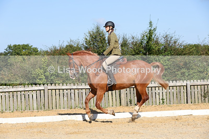 1X9A7776 - Class 9: Open Ridden Hunter