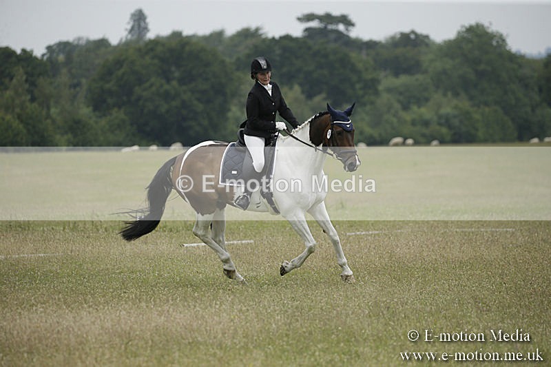 B230619-0643 - Bourne Valley Riding Club Summer Show 23/06/19