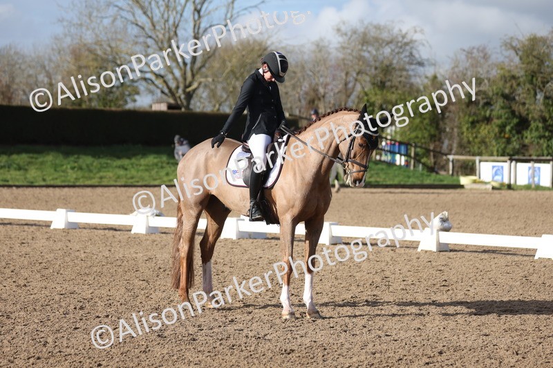 20260128-0493 - Class 4 - Novice 5